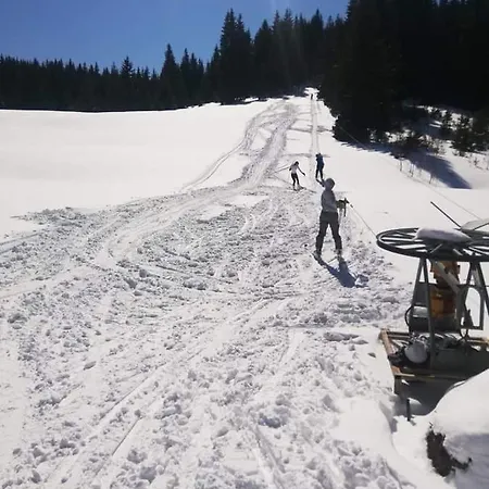 Alpehytte Forest Cabin Ponikve