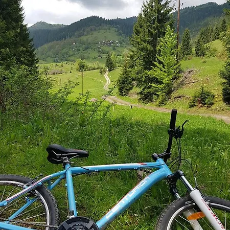 Forest Ponikve *