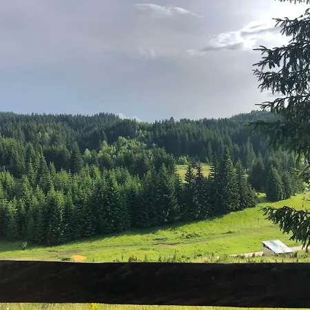 Σαλέ Forest Cabin Ponikve *