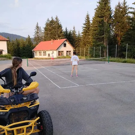 Forest Ponikve *